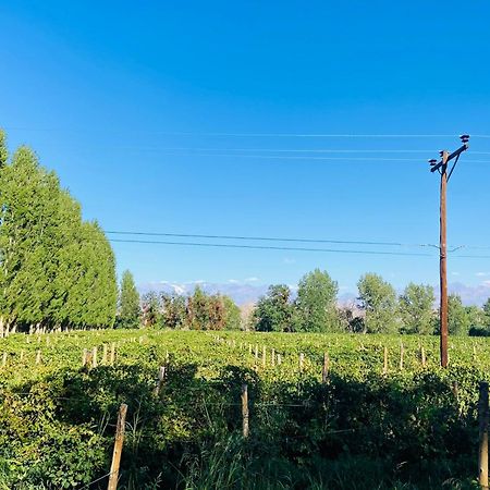 Finca Tierra Calma Casa 1 Barreal Zewnętrze zdjęcie