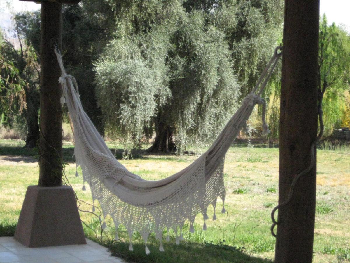 Finca Tierra Calma Casa 1 Barreal Zewnętrze zdjęcie