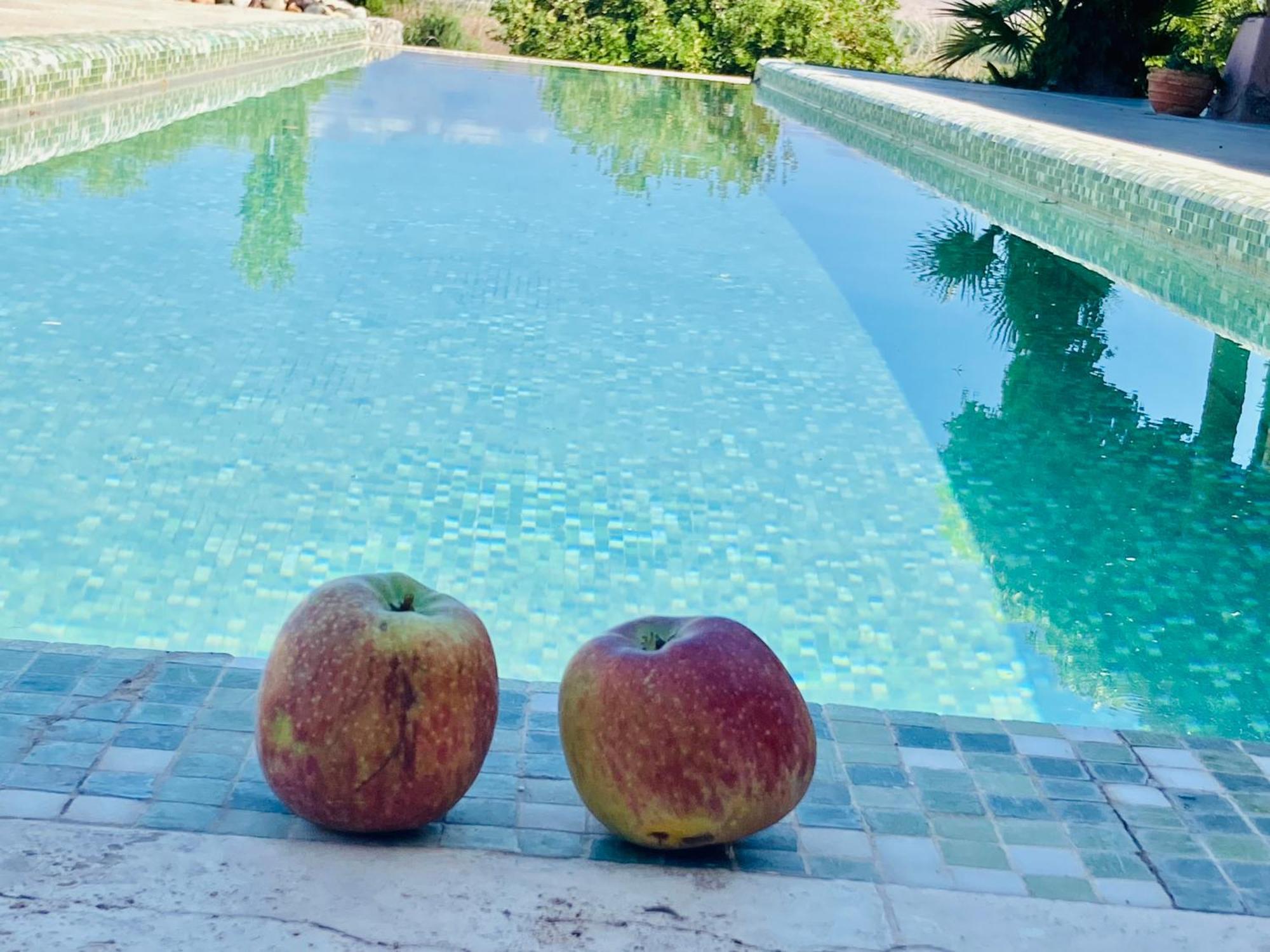 Finca Tierra Calma Casa 1 Barreal Zewnętrze zdjęcie