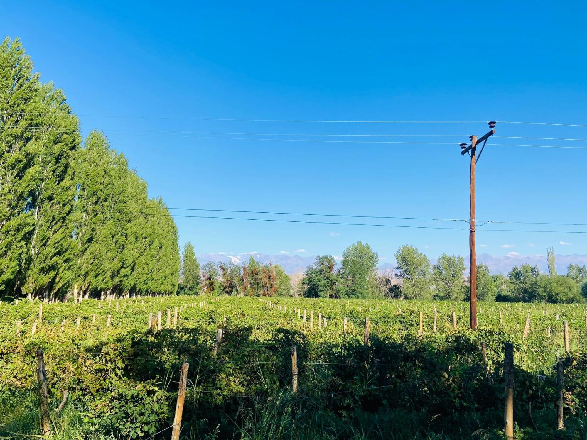 Finca Tierra Calma Casa 1 Barreal Zewnętrze zdjęcie