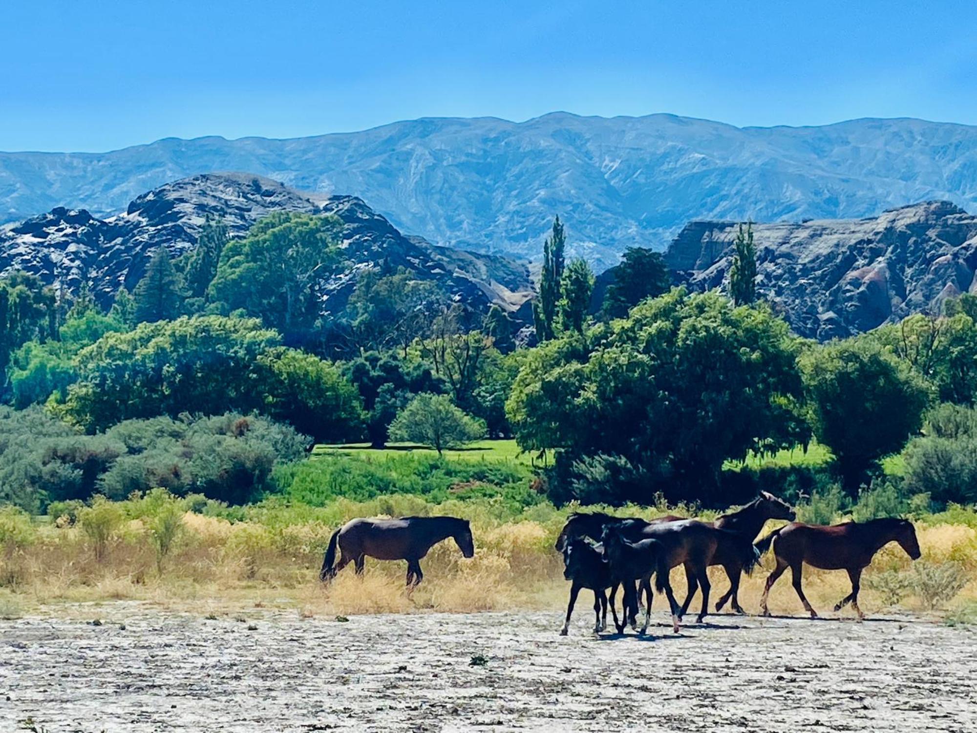 Finca Tierra Calma Casa 1 Barreal Zewnętrze zdjęcie